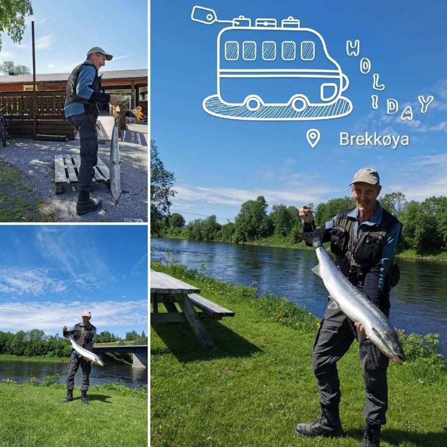 Surnadal Camping Brekkøya Skei  Bagian luar foto